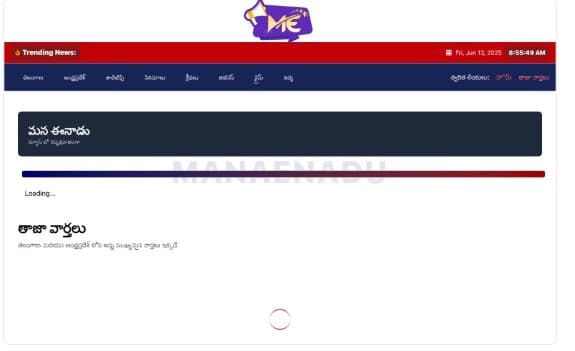 News Website